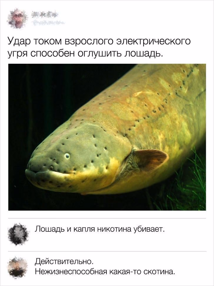 edb85f8ba0749b45ecd31541d684dc77.avif