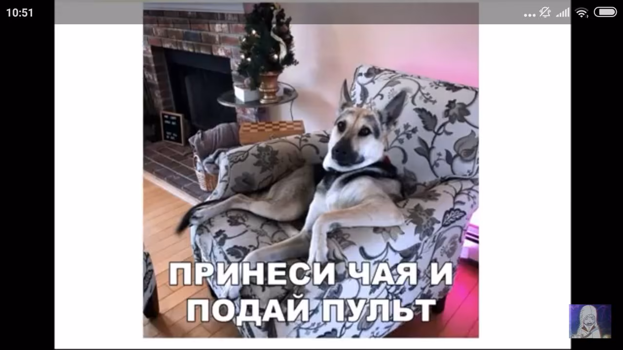 edba8175af88d27ef4406bde01f2b828.jpg
