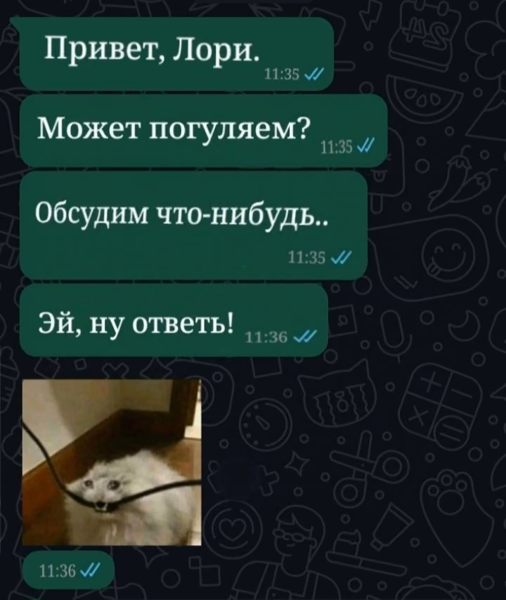 edbbcc3f52f904ad74945928c50a5f1d.avif