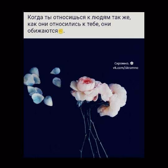 edbee3fd5d539a79e3f3da374ba5f612.jpg