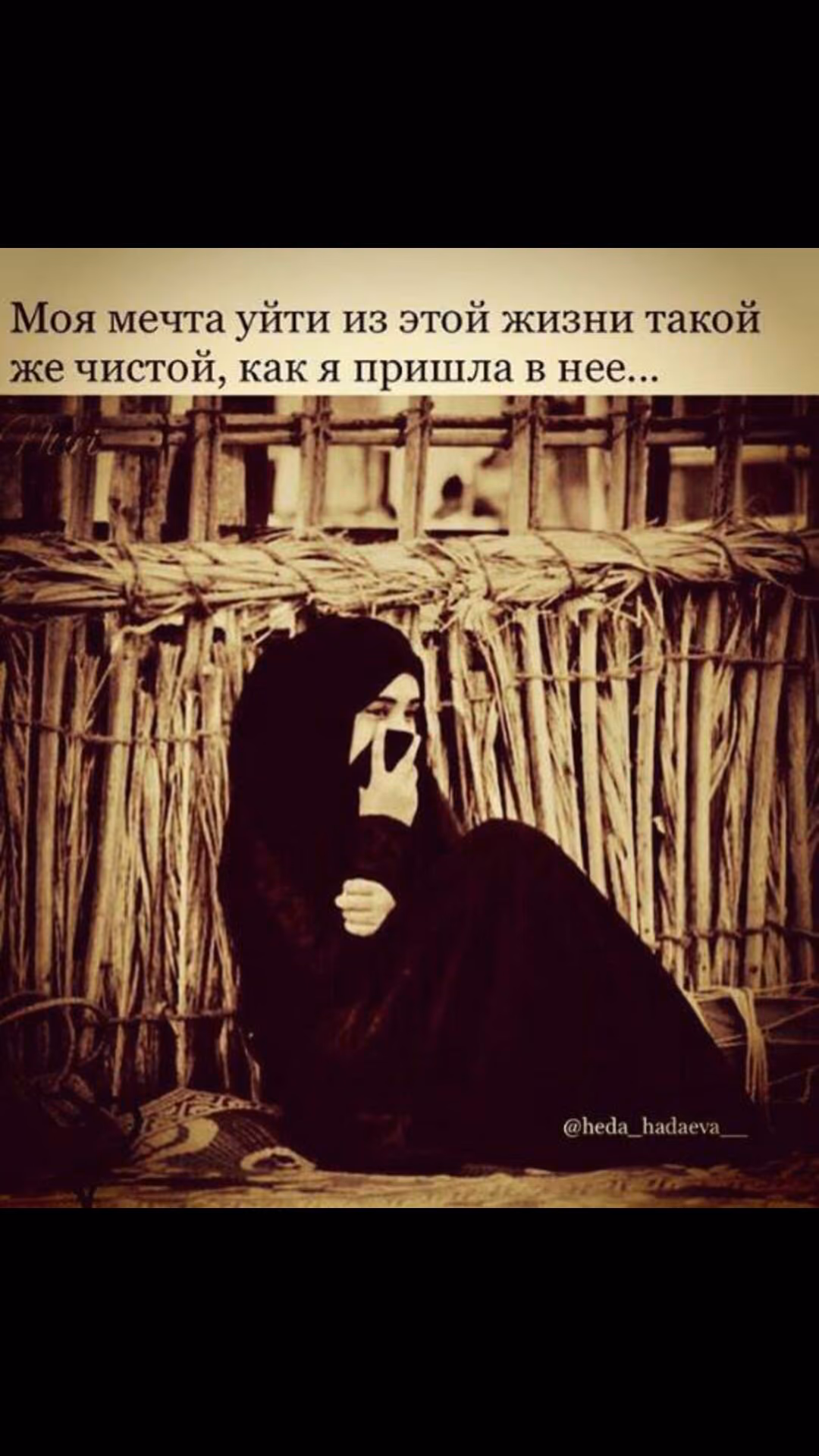 edc9c858d5208951e5da8ce82d64388d.jpg