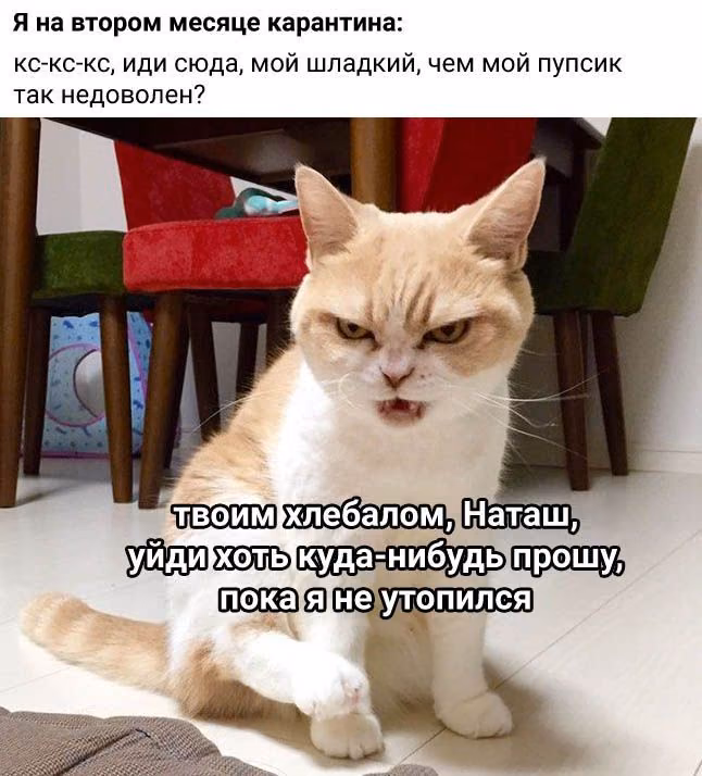 edcf9957214b7cbcb17791d964d70812.avif