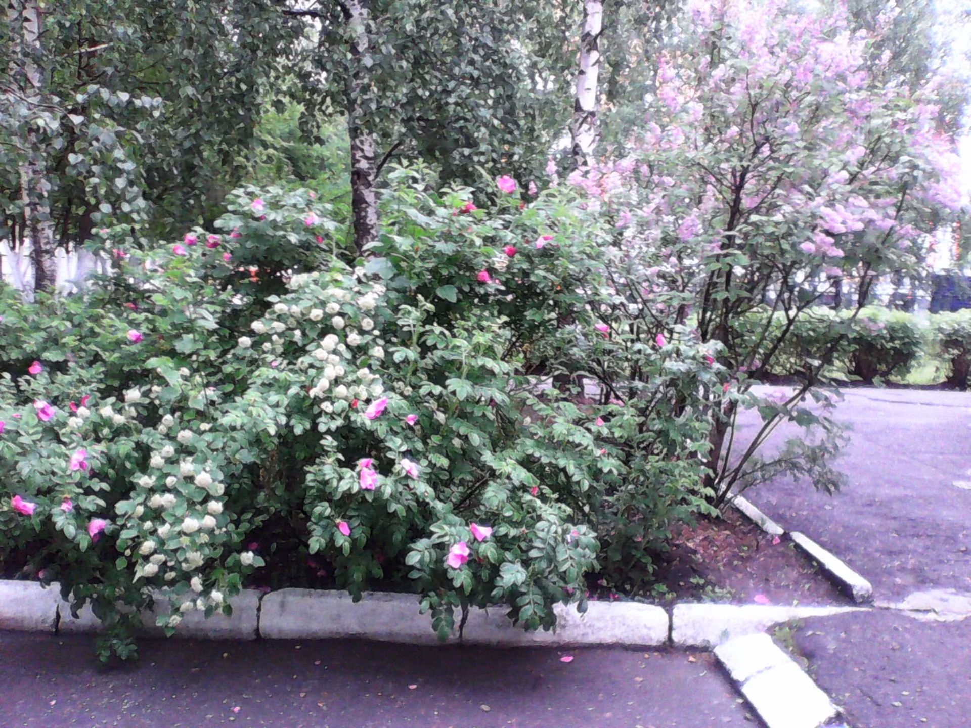 ede403e95390b724bbe6f30cf6a42cbc.jpg