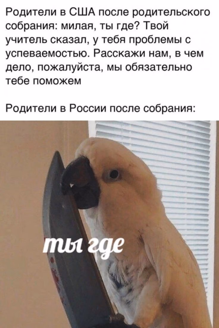 ee1a731253800d51c2a5d4758aa9b048.avif