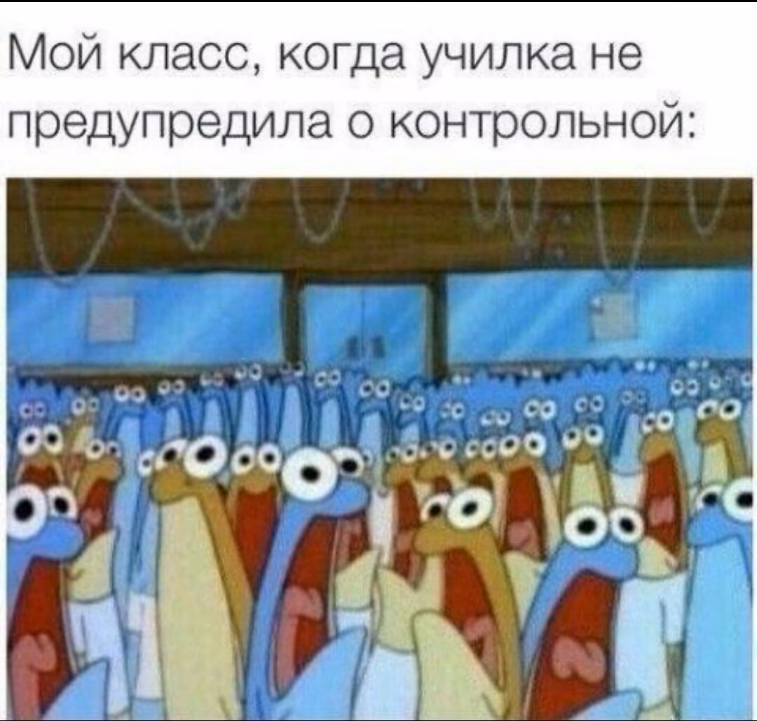 ee243e858526b142839811649908489a.avif