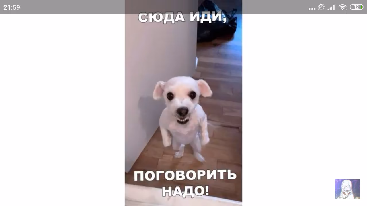 ee36cc18ac7a1053b1226c471965820d.jpg
