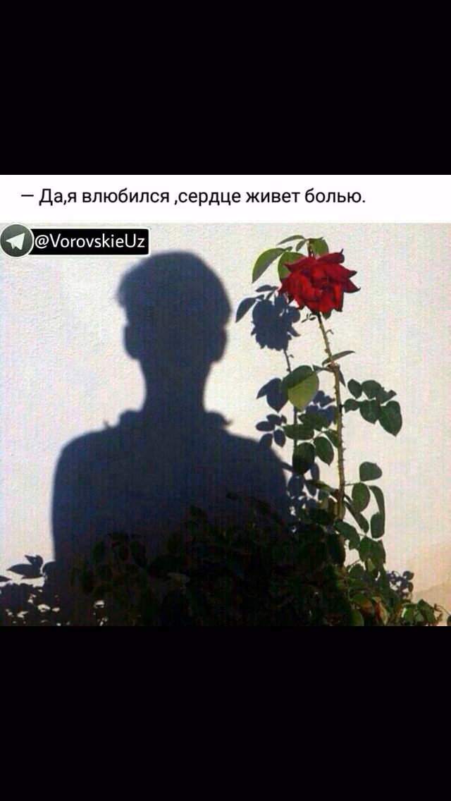 ee438fbea856d1676109b04477c0804b.jpg
