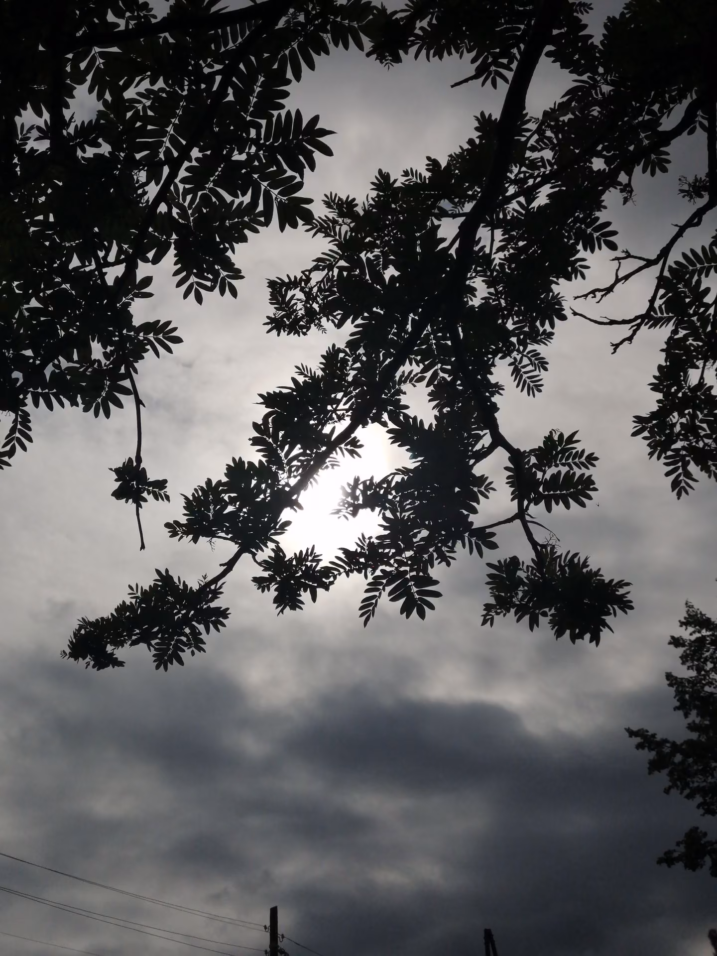 ee50c0de6c510d9b05edc598965f548c.jpg