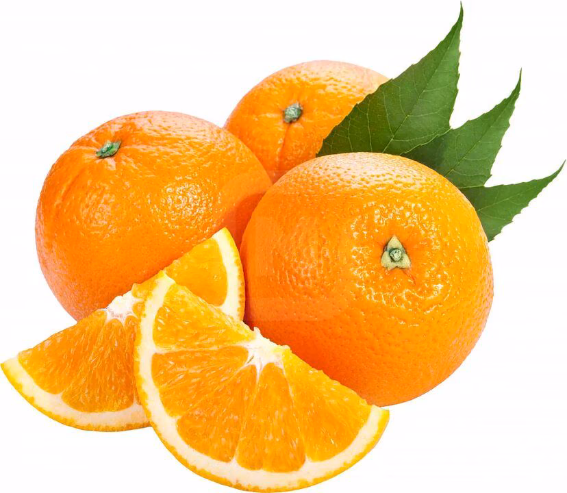 e4ae5e4f478a64055109ef8b4dfc88ca.jpg