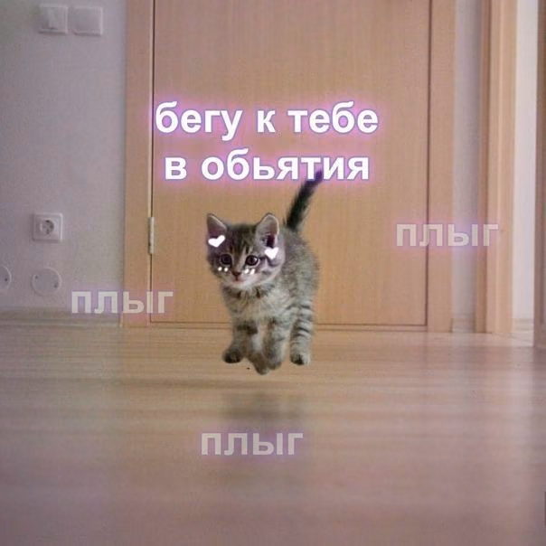 ee56b8243acaf1589be6df458257f2cb.avif