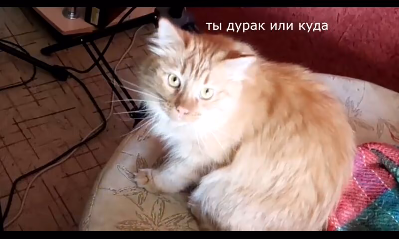 ee5f5b21fd4258c14ac3cae7d9bb659f.avif