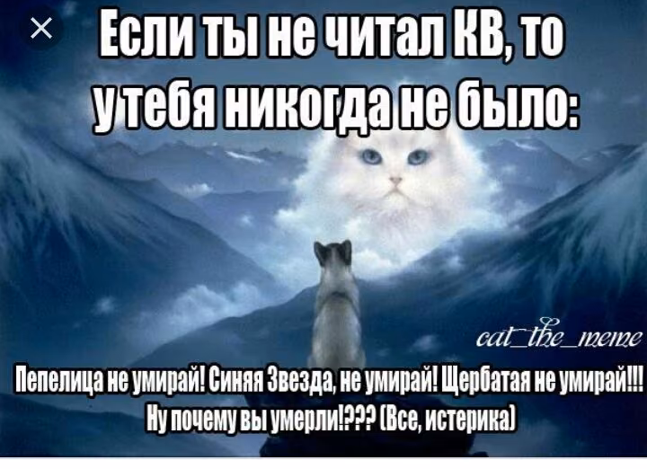 ee79dd654da2b6798cf0d248a794365c.jpg