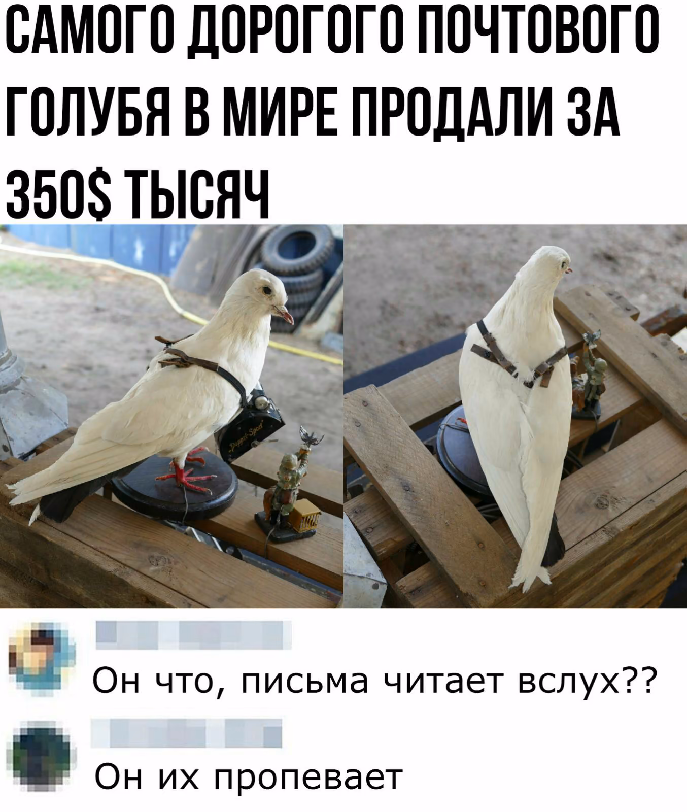 ee805cd68ebe9109124f204bbad512b9.jpg