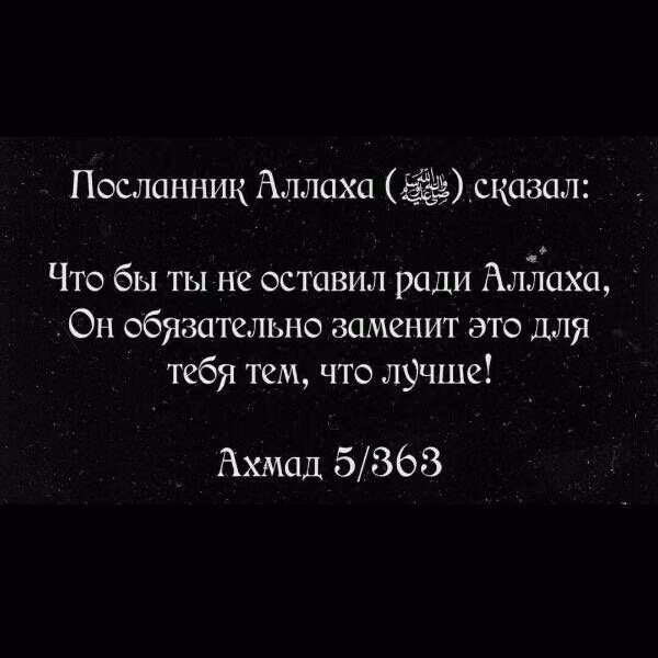 ee83dc4f667a98eeb0a126308ef3571d.jpg