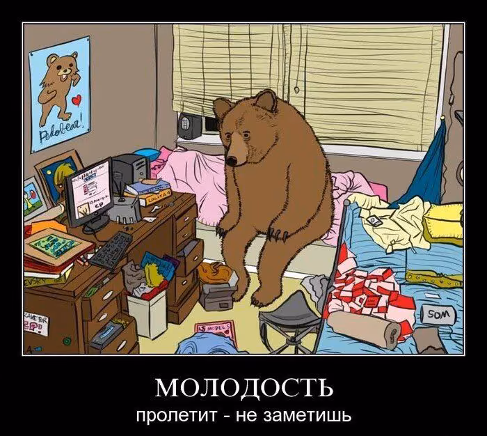 eea99556066087575c343c9b9900e999.jpg