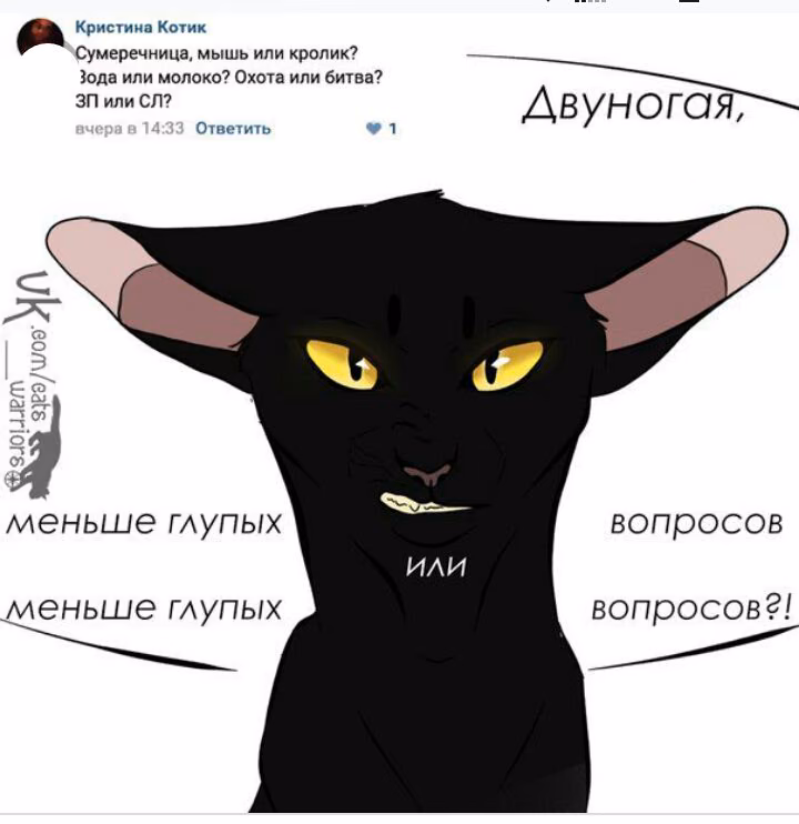 eeadd2db86746bba866c1e2f94f141fd.jpg