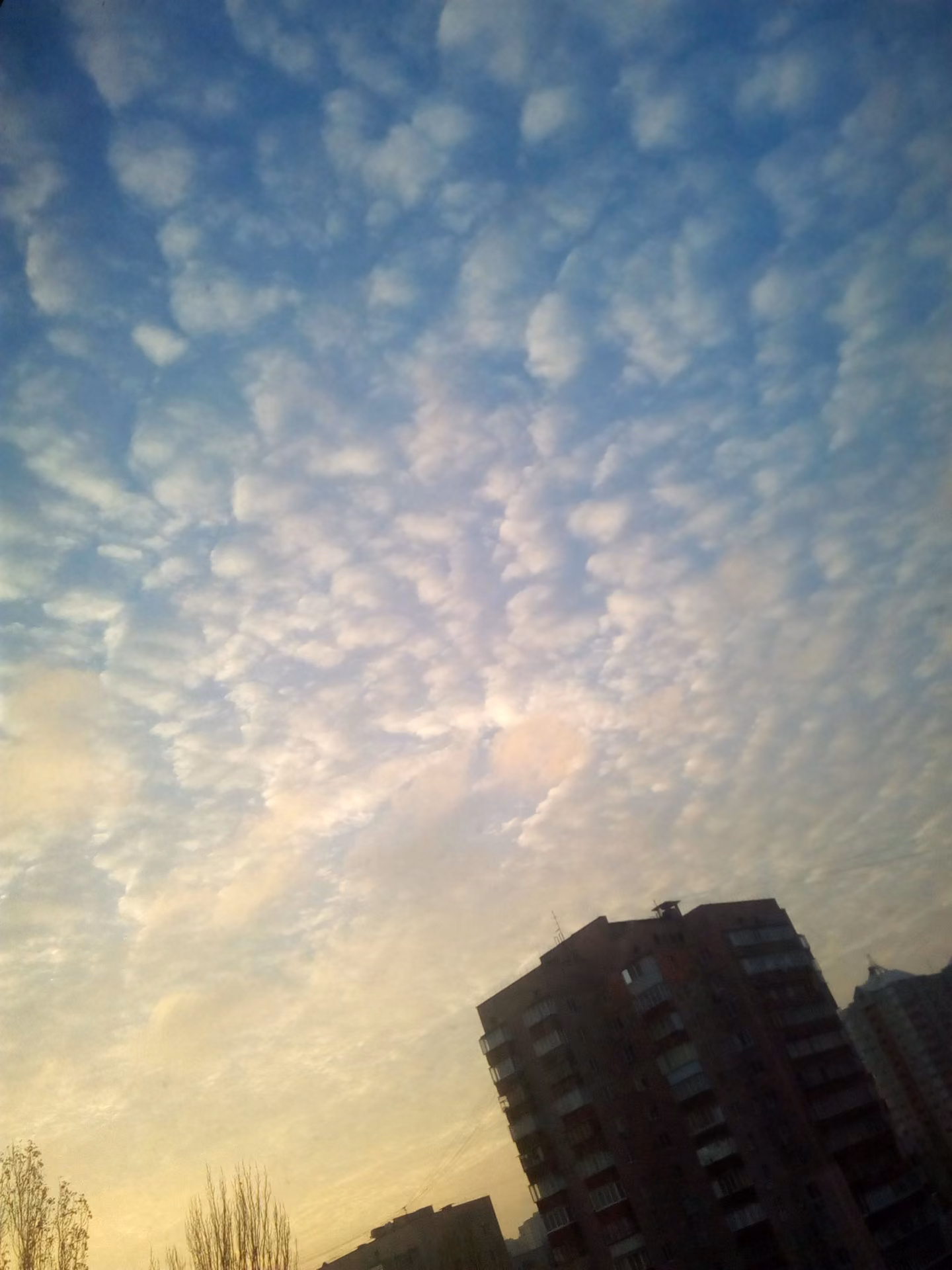 eebb7e7077f91e8a722d760ebb36231b.avif
