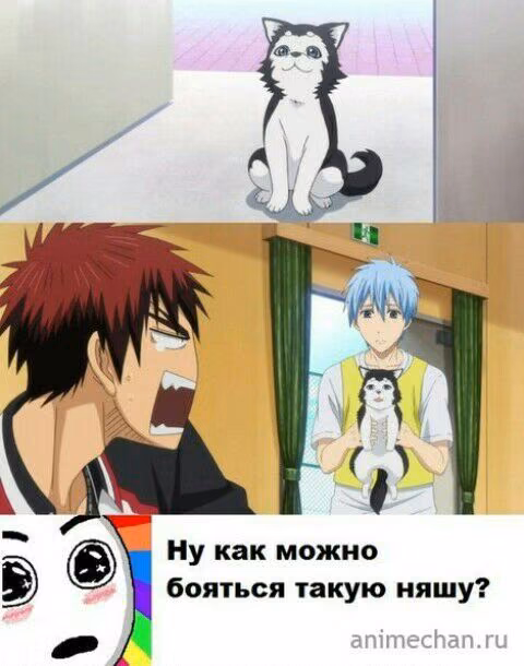 eed6fb2fd73e025f73b1e5fff42e76fd.jpg