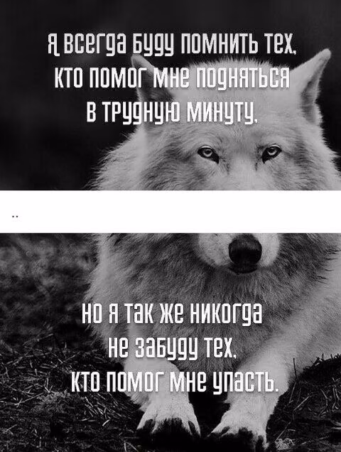 eed7bde5783d68f3fcce56f142ace861.jpg