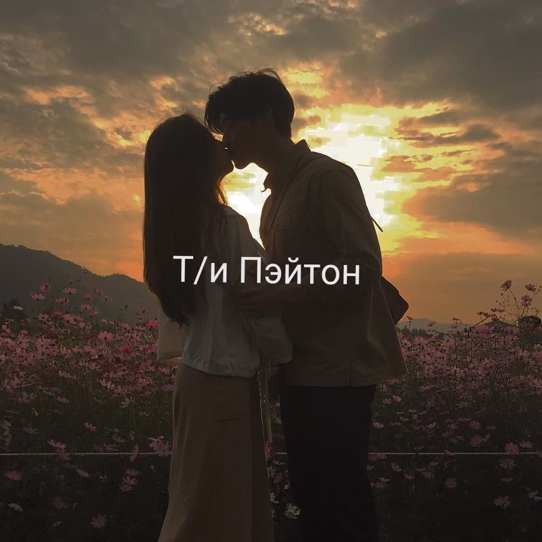eef8cb0b42c95eb505ffcd5c9c964a40.avif