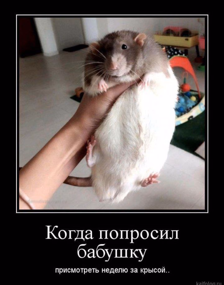 ef004e4cb509e883488da0a5a122a10f.jpg