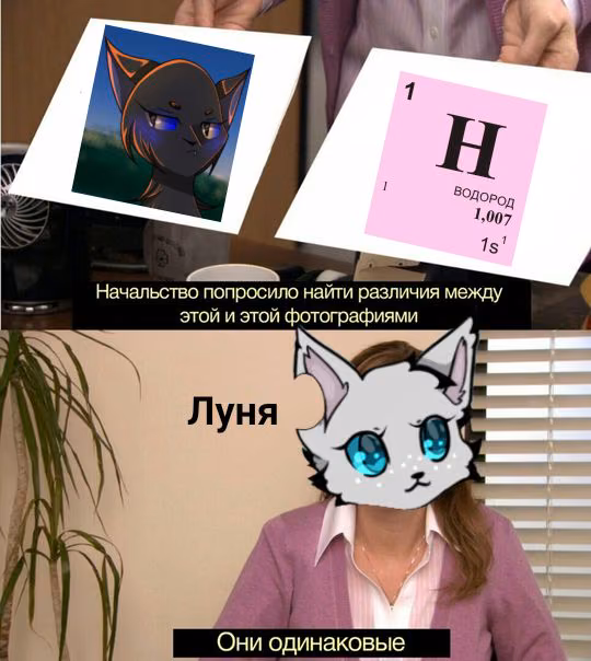ef3086358435d6ff5388c9907673e226.jpg