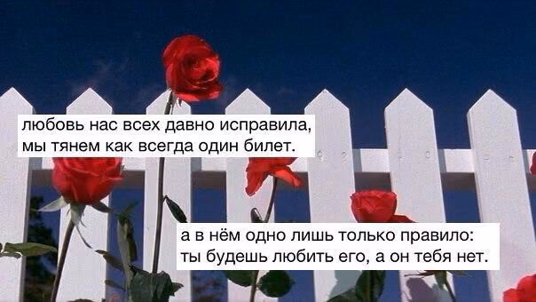 ef53bd957467fea23ded53cca7b883e1.jpg
