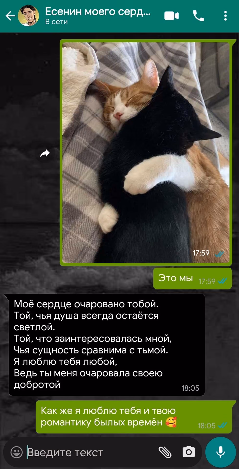 ef57090a6b1b9763bdcbb510b6788411.avif