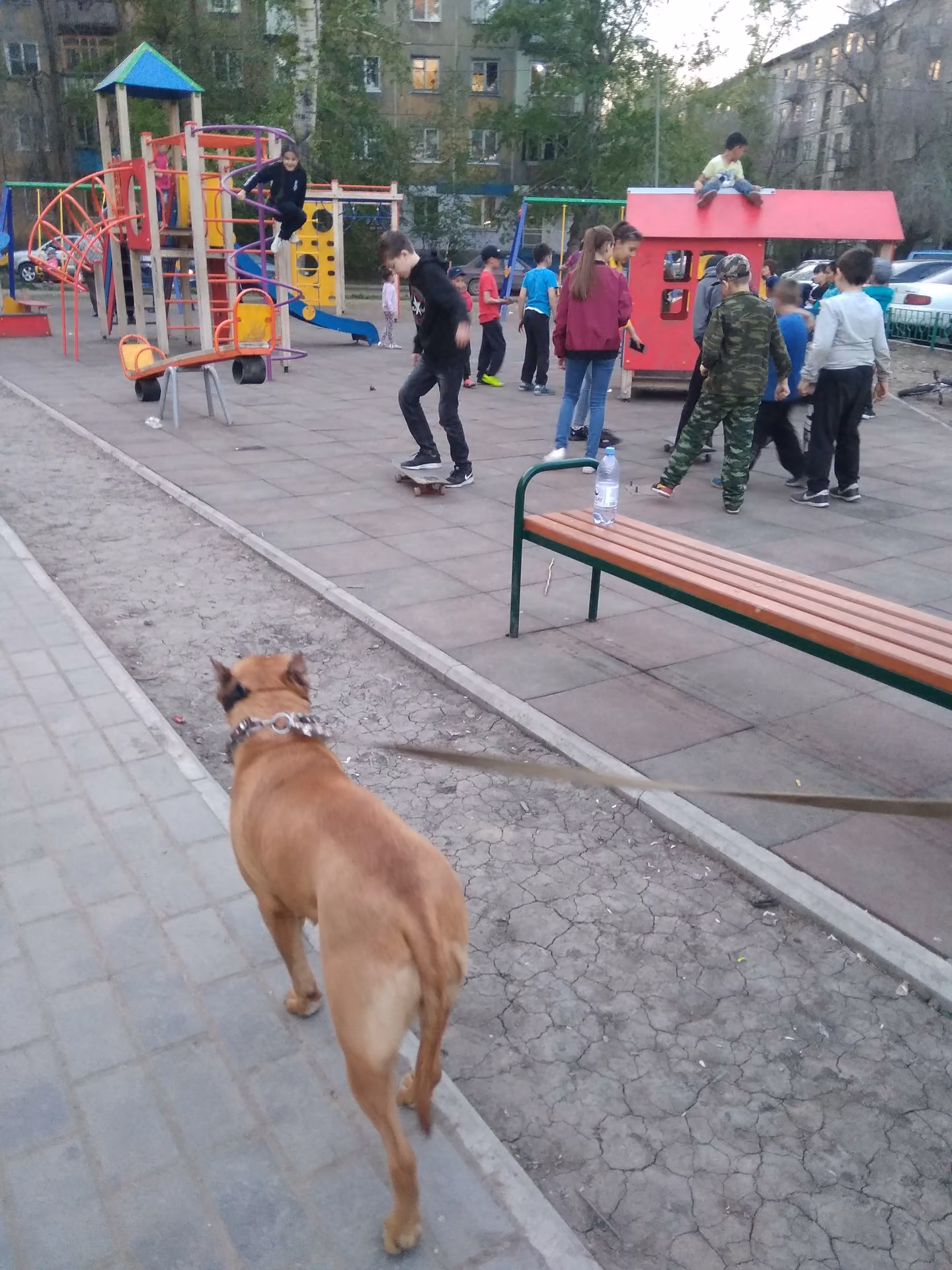 ef5ced1ce061d7161d6e942b02caa3e6.jpg