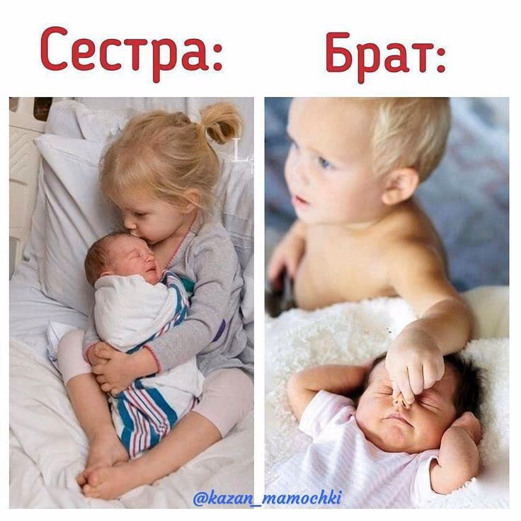 28979521a9560f70b466ca8948bbb6aa.jpg