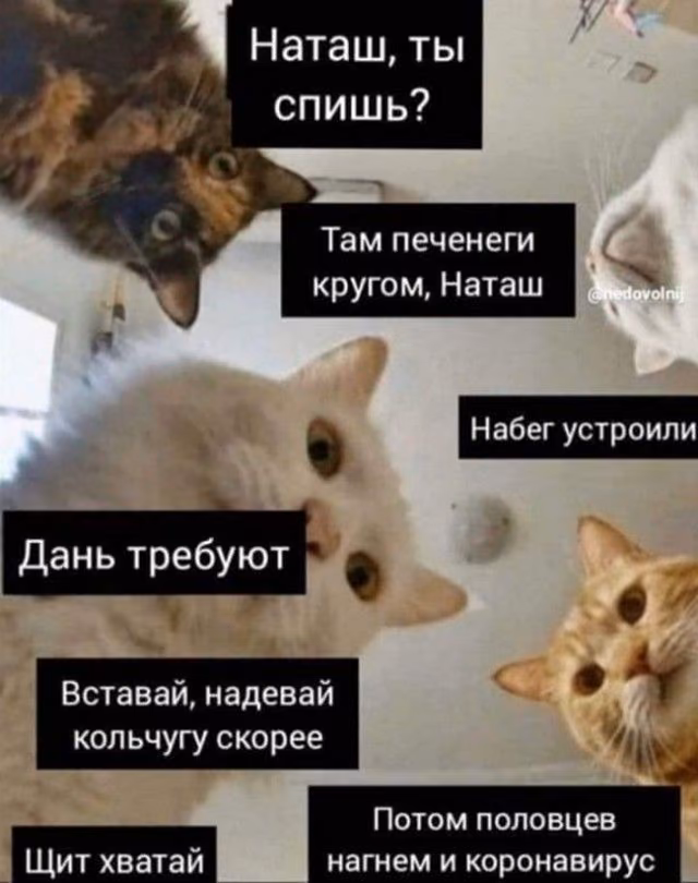 ef7bae53ce13c66d72d6e007647688d3.jpg