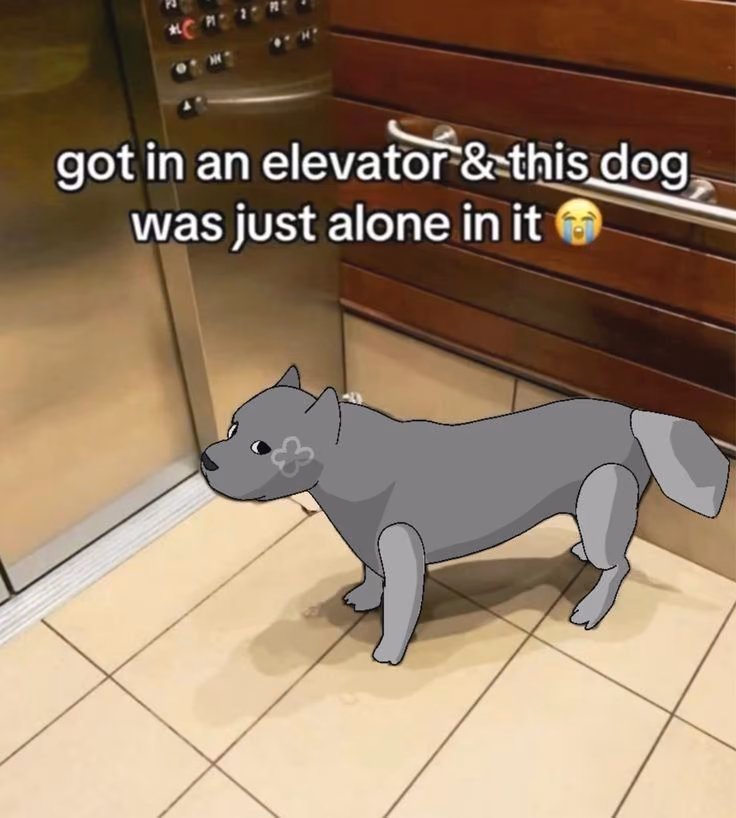ef8fa2a5eb590429039aec0df94436cf.avif