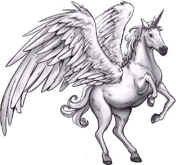 ef8faf8e2fcd8b525d331818942f3d0d.avif