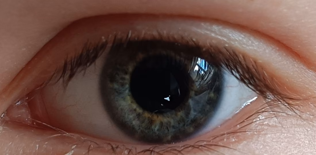 ef9d49782d2f6c4c6e6f37a12d0c16a2.jpg