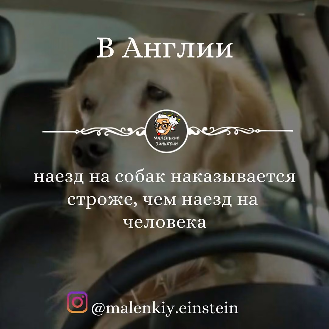 efb8cbbc0c013914e370e56862dd103b.jpg