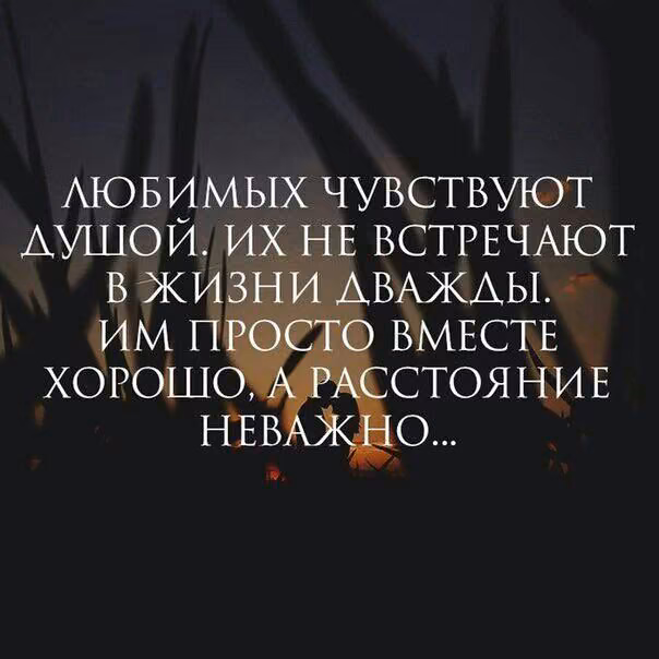 efc1b2be50c354363e3872f3acd6a621.jpg