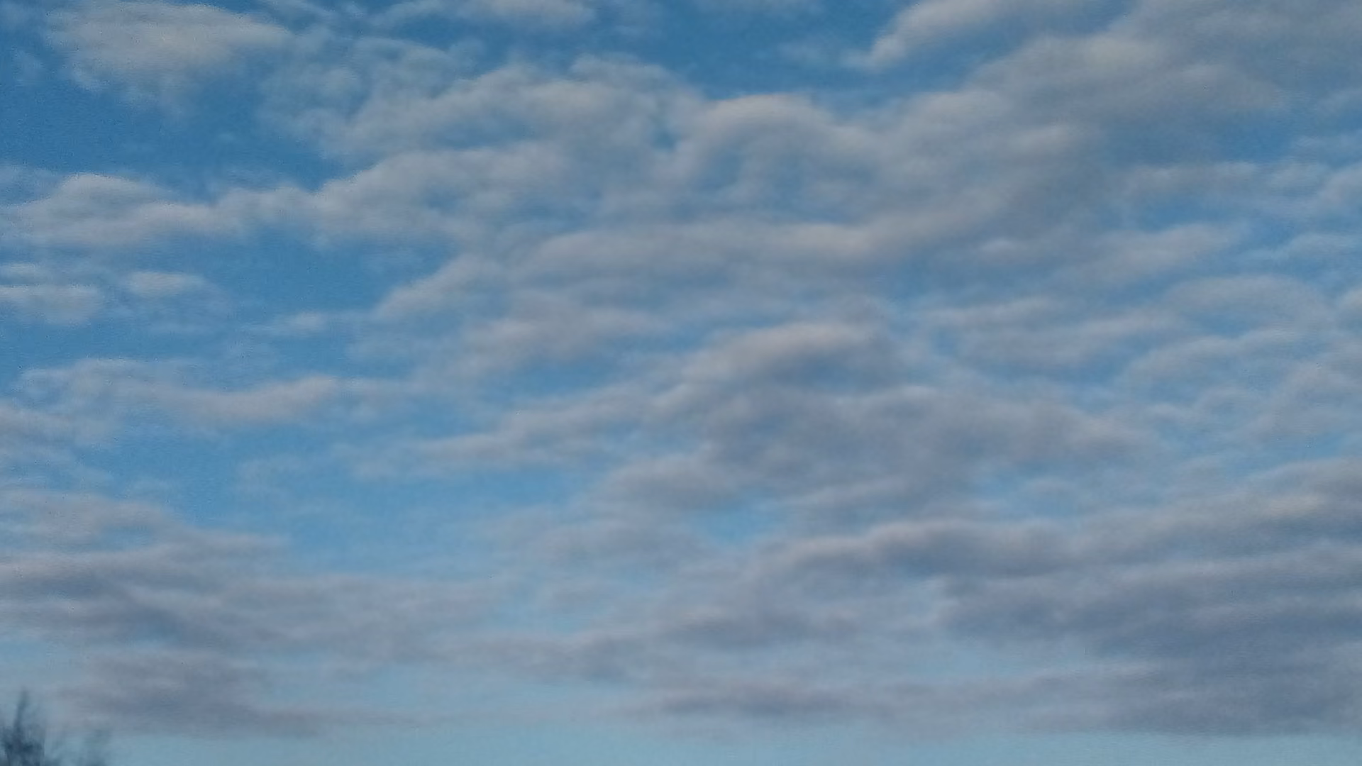 efcea47e714bb263f1980168c078b1fe.jpg