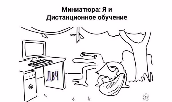efef2dfe6aad528833563d9182c88318.avif