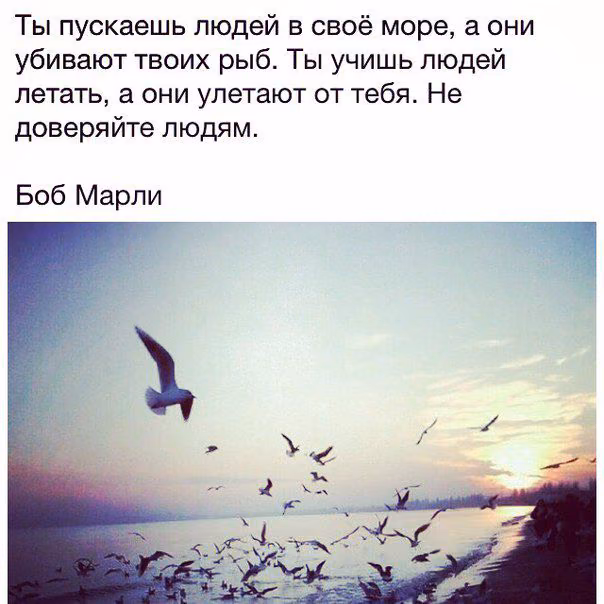 eff09ea41a7de5730edacda861f2c813.jpg