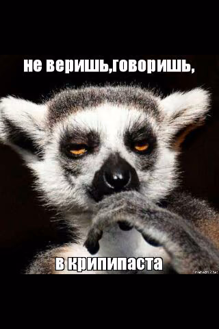 eff110678a7439ffbeff500affc667f7.jpg