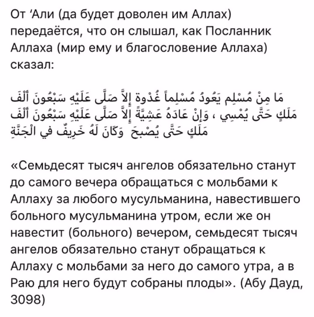 effeadc7ed3c9b12ec515cd023b9e183.jpg
