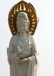 f003a035e1ff2398903d4a67902f11cc.avif