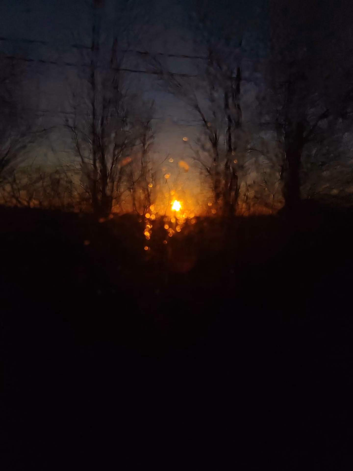 f008ae4d9adacfd346b2e8cf814e54d9.jpg