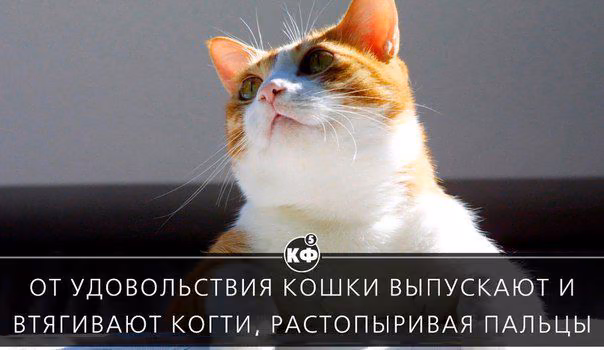 f026b6c4eb0e43216012c84913238745.avif
