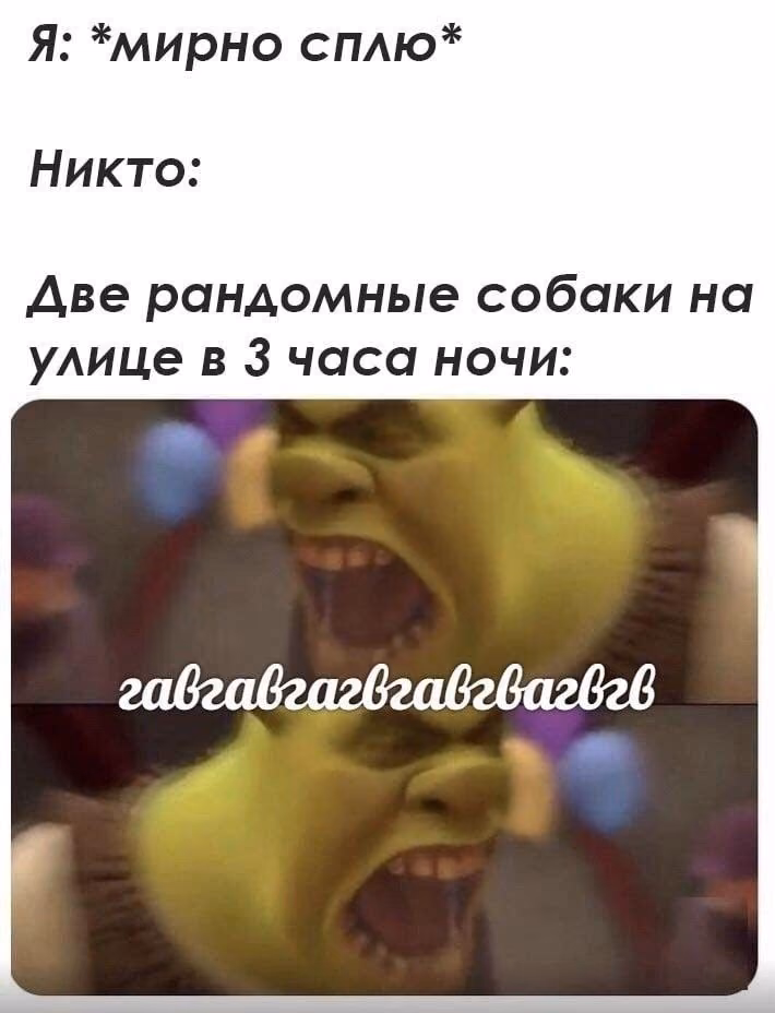 f033844a1dd0518c896f676e3d3b07db.avif