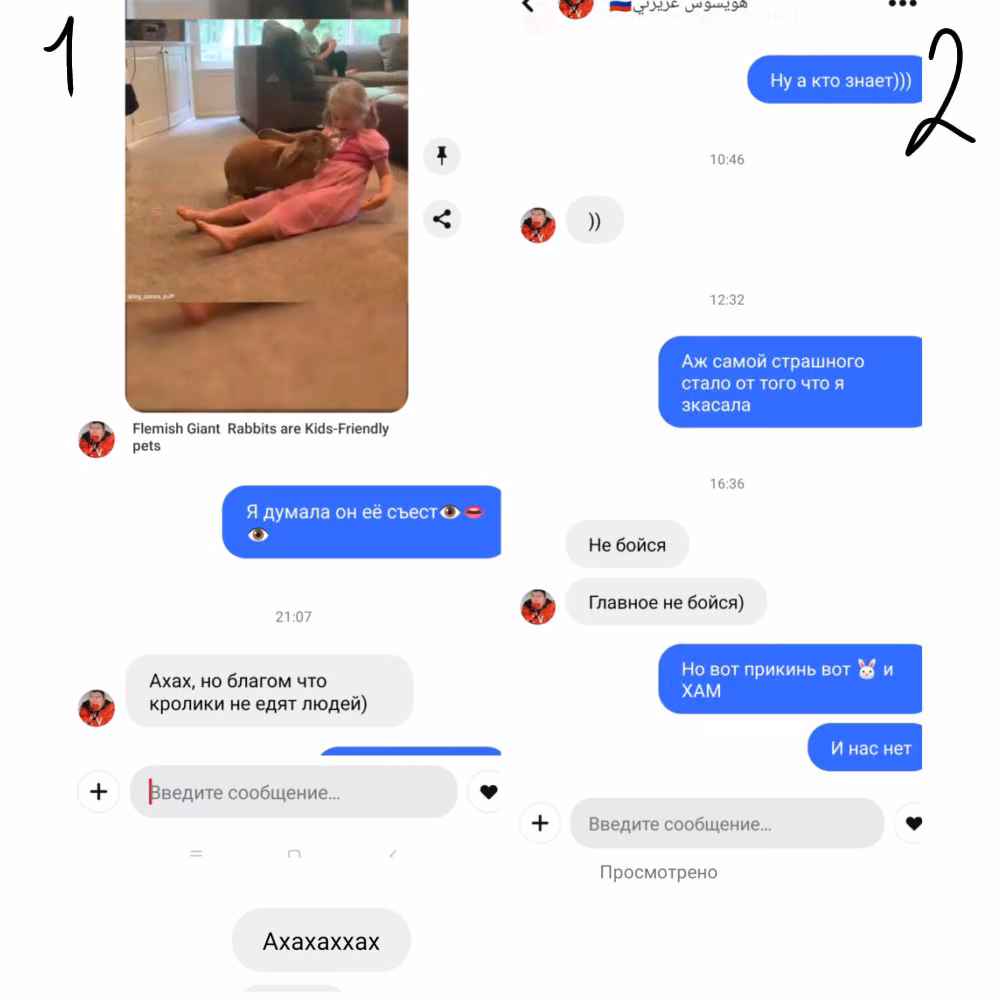 f0491382e91a089efa637389e39f608c.avif