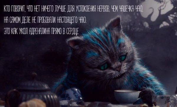 f050c48d8ee2ae158e441729cb153bdf.avif