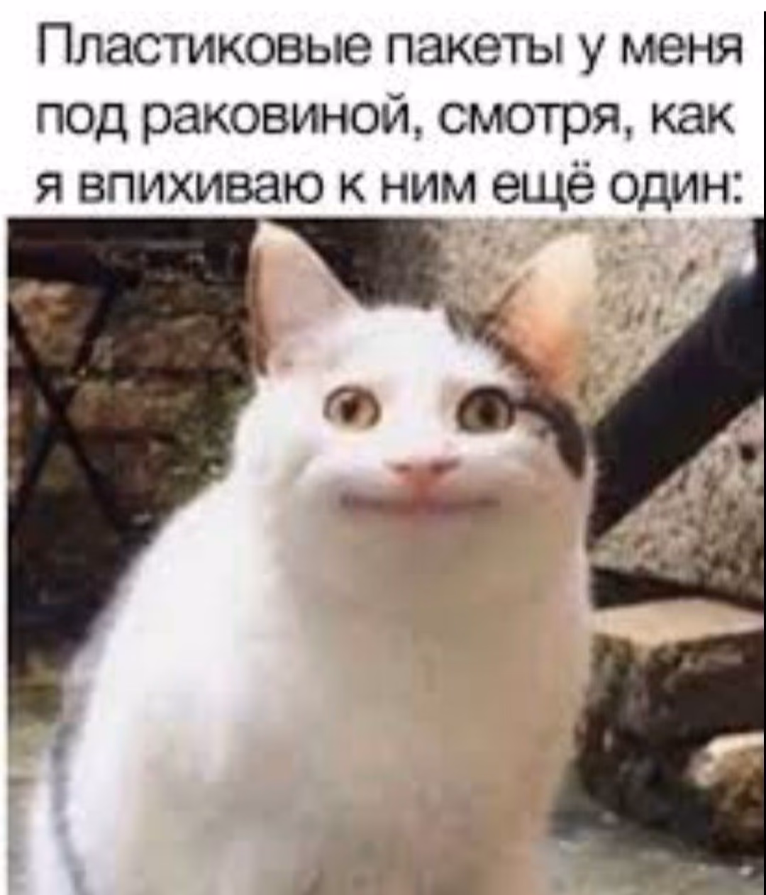 f06368ea9aaca692840a4be2b3b22f99.avif