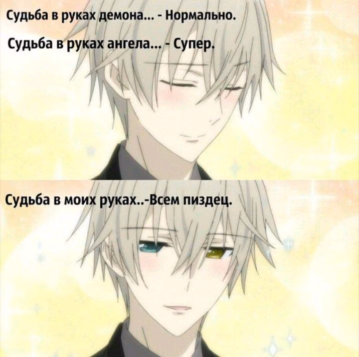 f06731e1b40a16e4f2a86f19a62cd6d2.avif