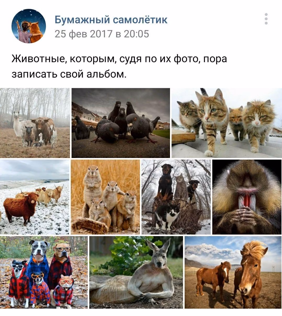 f06780d228a05c51b57c98a1d11cac34.jpg
